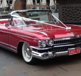 1959 Cadillac Convertible