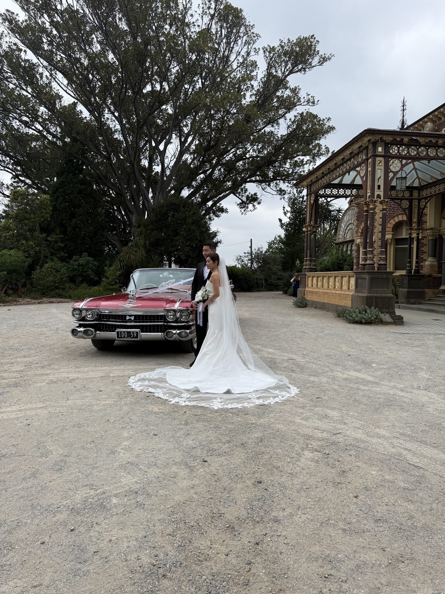 Rosie the rose pink Cadillac convertible with white wedding ribbon at a vineyard