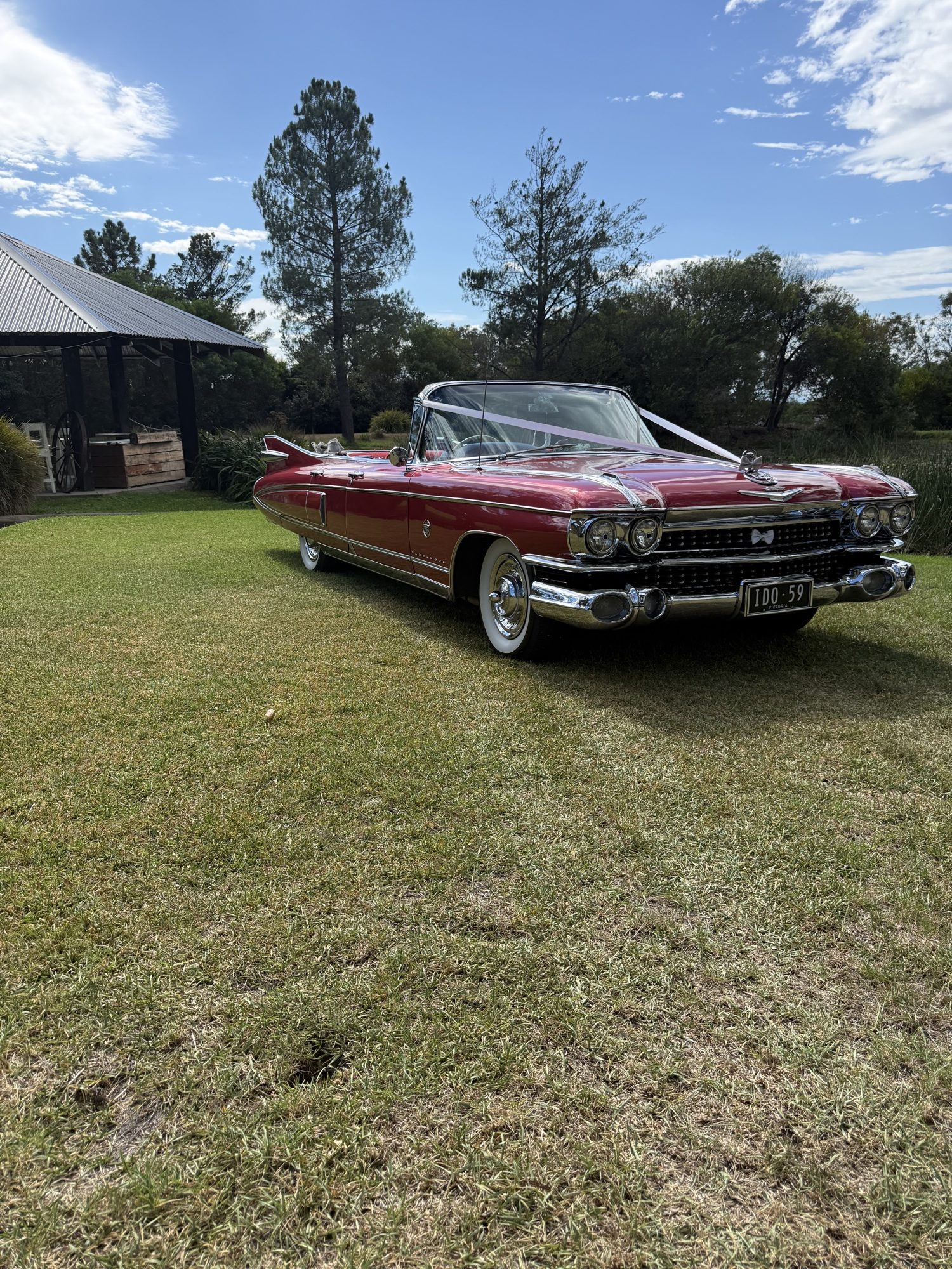 Rosie, Caddyman's rose pink Cadillac convertible, in the countryside near Melbourne