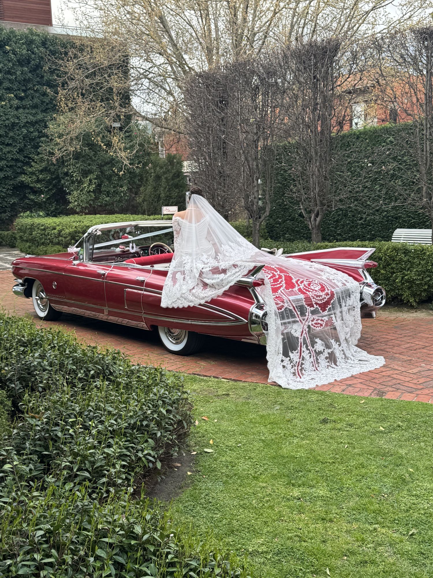 Bride's veil flowing over Rosie, Caddyman's 1959 Rose Pink Pearl Cadillac convertible, on a brick garden path