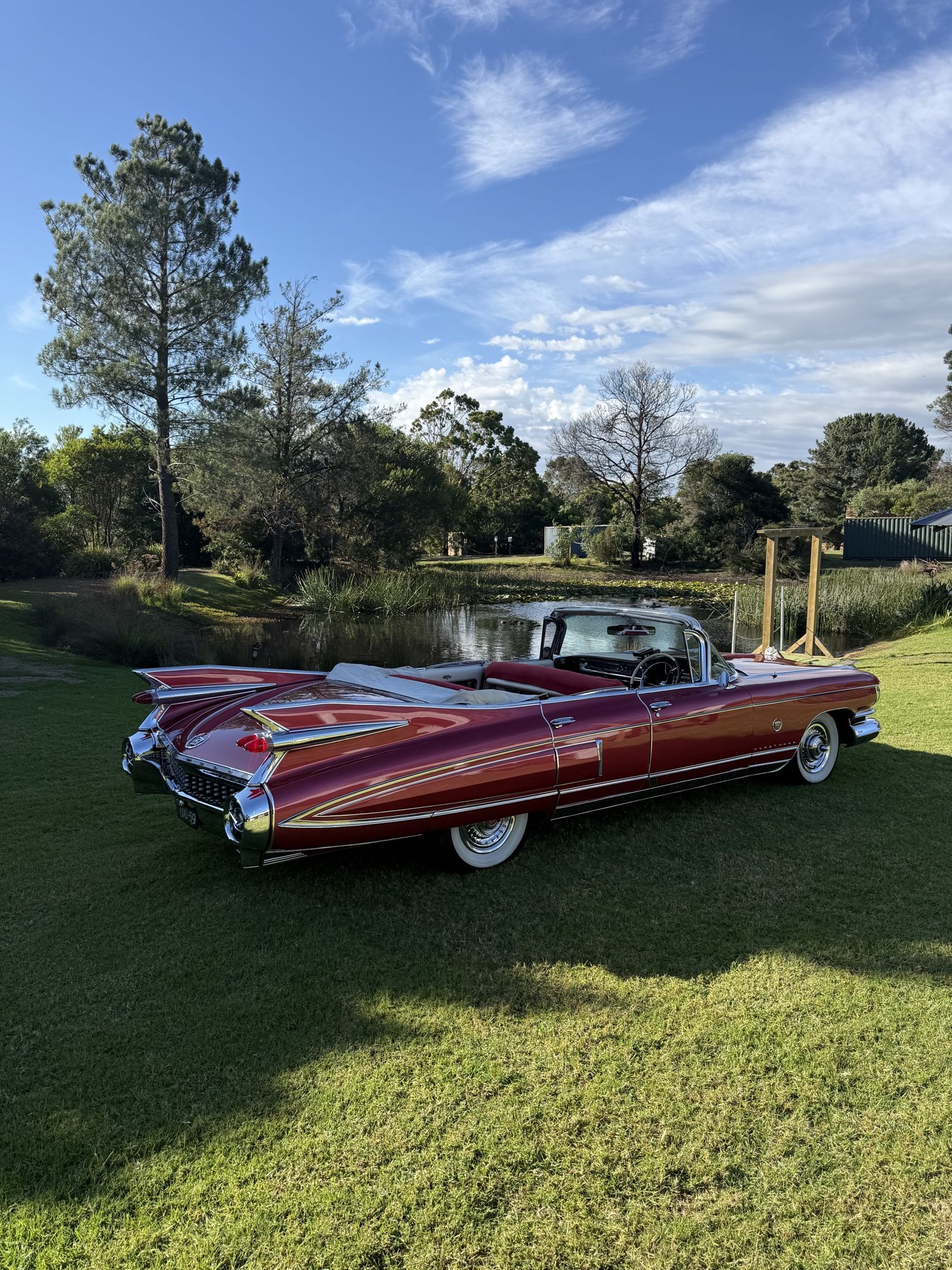 Rosie, Caddyman's 1959 Rose Pink Pearl Cadillac convertible, parked on a lawn beside a garden pond, rear view