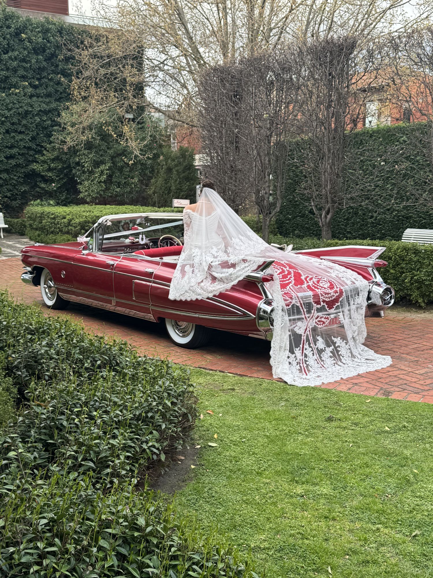 Side profile of Rosie, Caddyman's 1959 Rose Pink Pearl Cadillac convertible, with the bride's lace veil draped over the tail fins on a brick garden path