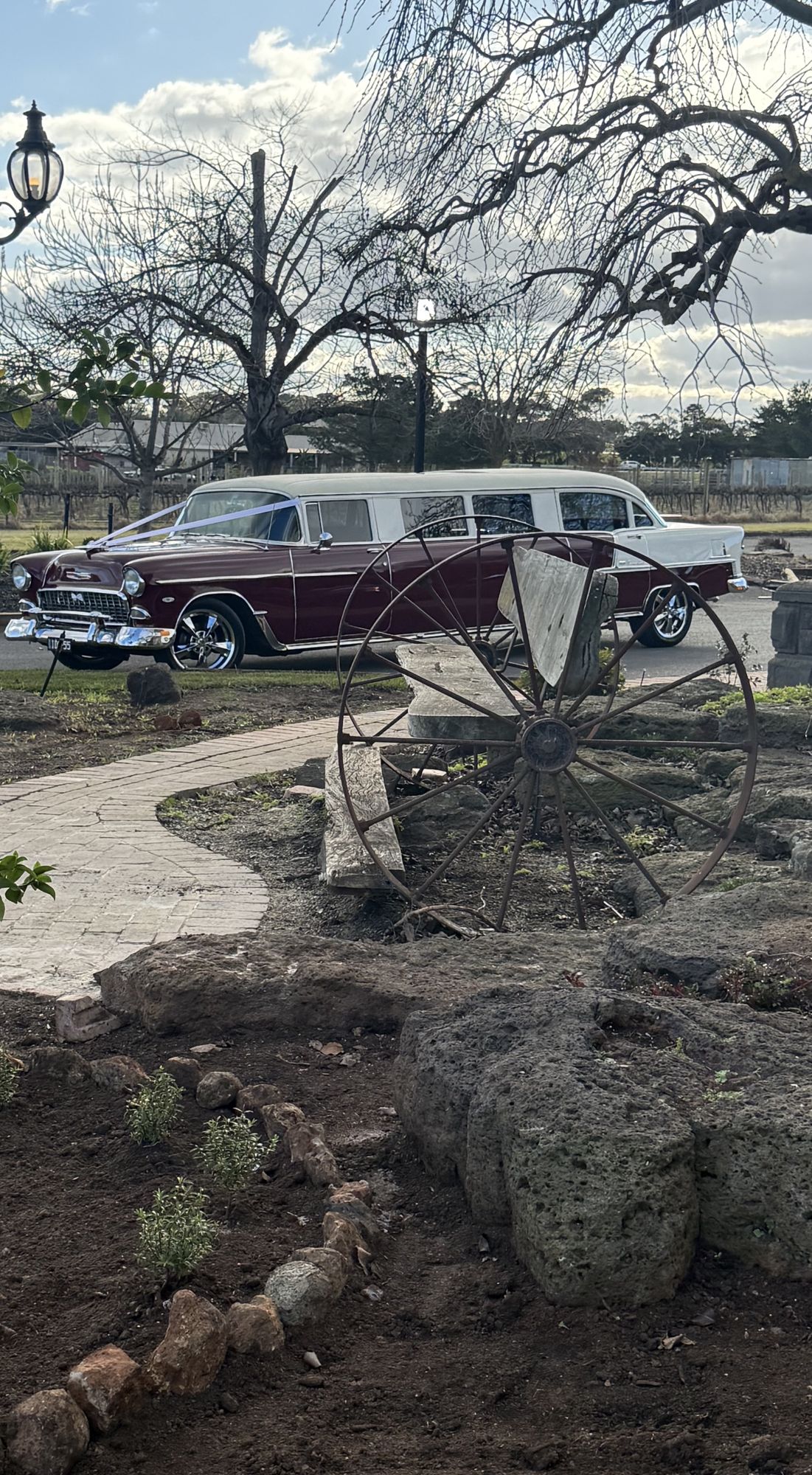 The Prince of Belair, Caddyman's maroon 1955 Chevrolet Bel Air stretch limousine parked beside a landscaped garden